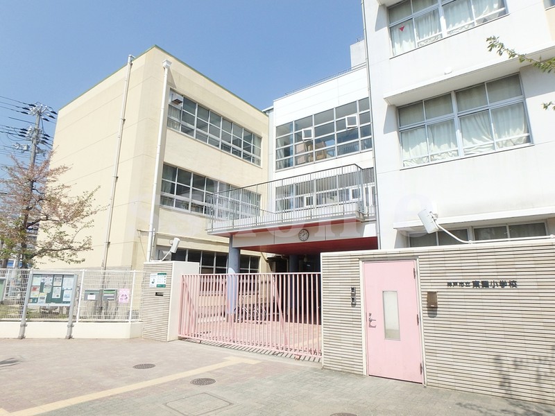 小学校　神戸市立東灘小学校（小学校）まで211m