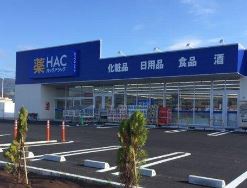 【足柄上郡開成町吉田島のアパートのドラックストア】