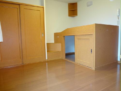 その他部屋・スペース　ベッド下は収納になっています。