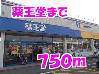 ドラックストア　薬王堂（ドラッグストア）まで750m