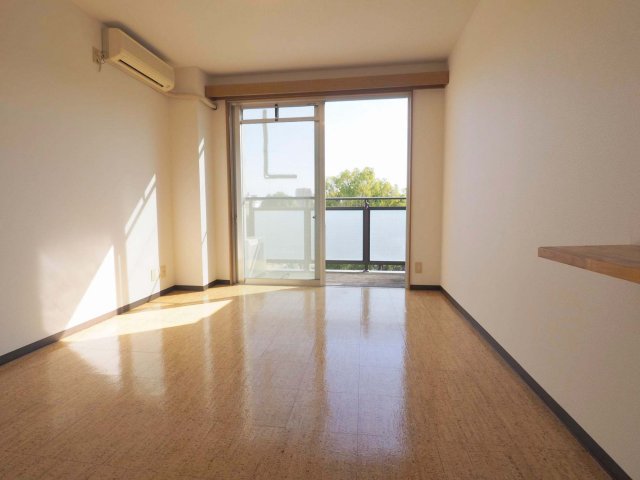 居室・リビング　パライッソタマツ