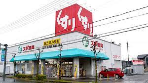 ドラックストア　スギドラッグ 清洲店（ドラッグストア）まで1593m