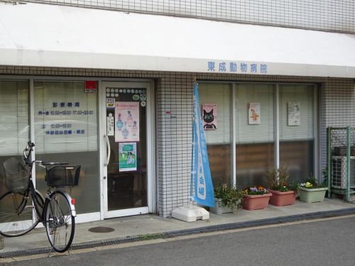 病院　東成動物病院（病院）まで87m