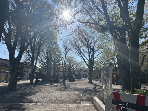 公園　砧8丁目児童公園（公園）まで465m