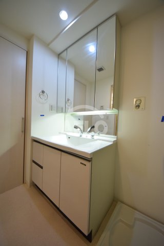 洗面設備　ロイヤルパークス桃坂　独立洗面台