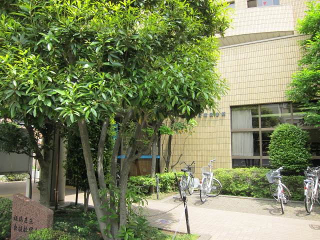 図書館　板橋区立東板橋図書館（図書館）まで627m