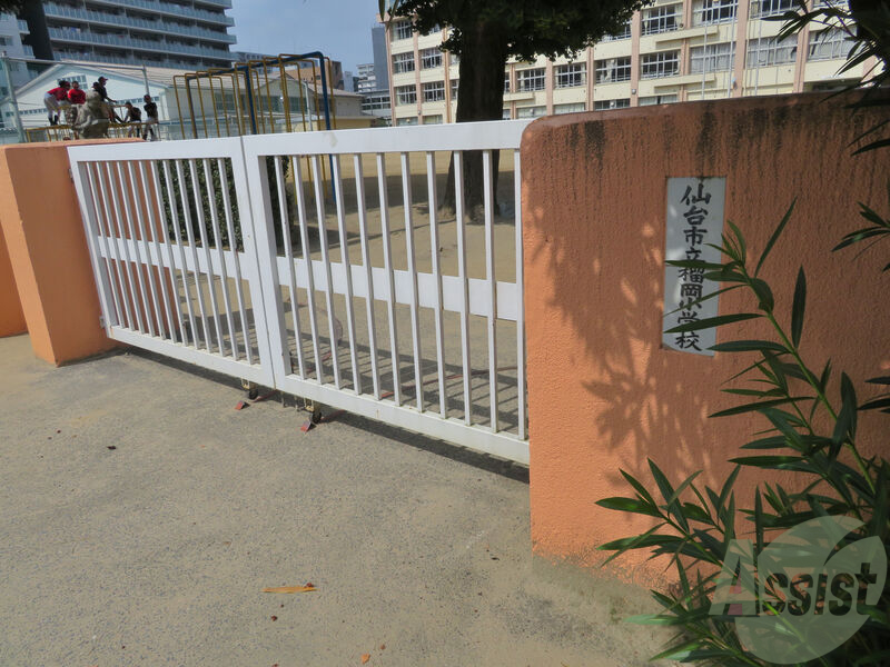 小学校　仙台市立榴岡小学校（小学校）まで281m