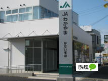 銀行　ＪＡわかやまかせい支店（銀行）まで301m