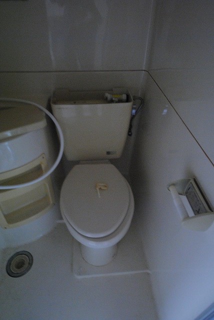 トイレ　写真は２０２号室