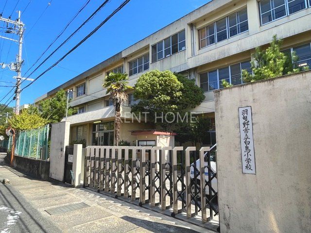 小学校　羽曳野市立白鳥小学校（小学校）まで773m