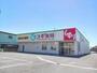 ドラックストア　スギ薬局長浜インター店様（ドラッグストア）まで350m