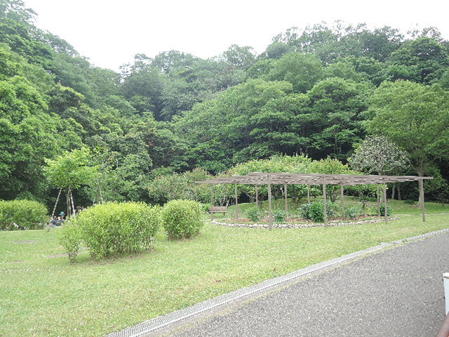 その他　富岡総合公園（その他）まで1483m
