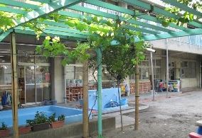 幼稚園・保育園　中野みなみ保育園（幼稚園・保育園）まで230m
