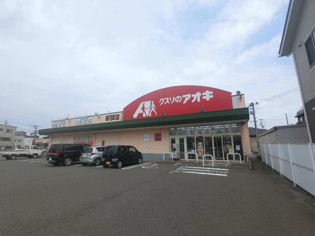 ドラックストア　クスリのアオキ 新花町店（ドラッグストア）まで803m