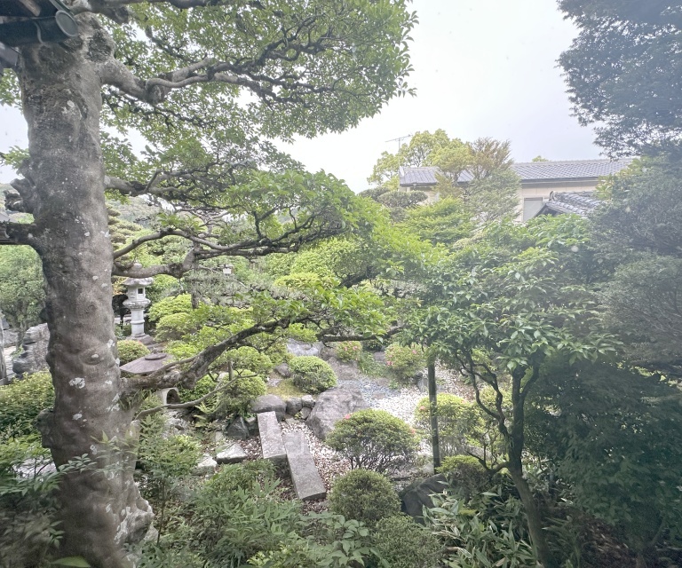 眺望