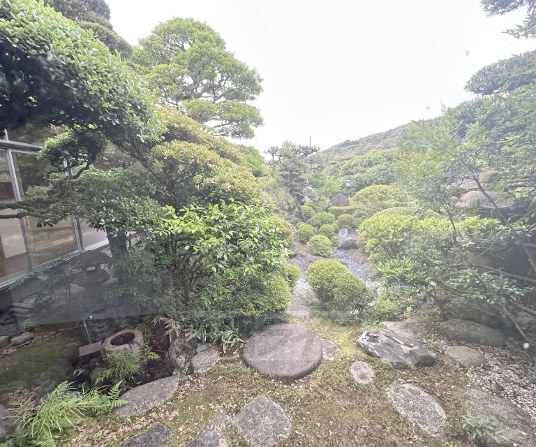 庭