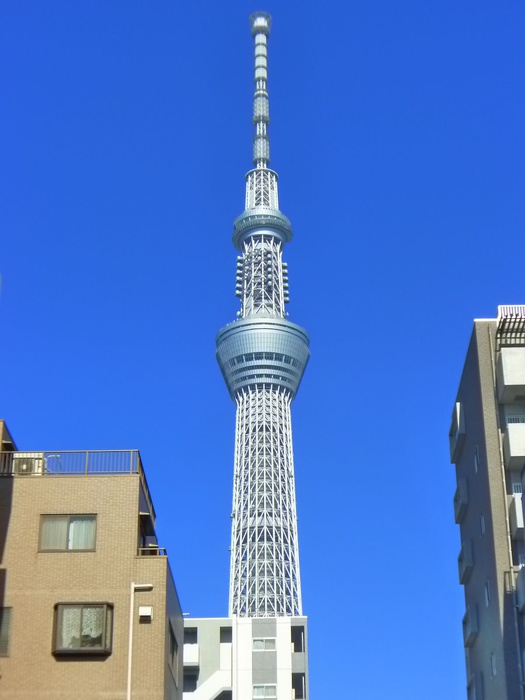 公園　東京スカイツリー（公園）まで1200m