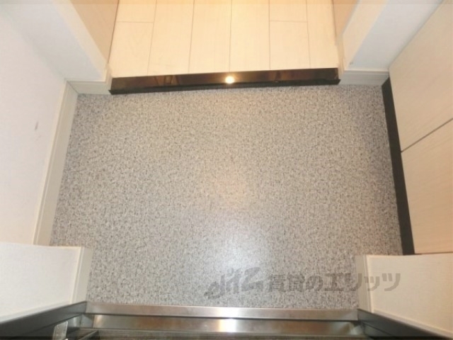 プレサンス京都五条天使突抜の玄関写真