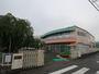 幼稚園・保育園　リリー幼稚園（幼稚園・保育園）まで761m