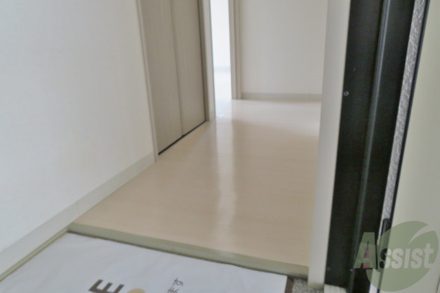 玄関　玄関から撮影しました。敷居が低いので出入りがしやすいですね。