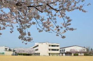 中学校　松本市立信明中学校（中学校）まで1117m