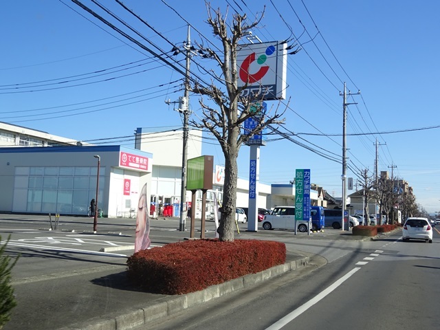 ドラックストア　カワチ薬品 東城南調剤（ドラッグストア）まで1207m