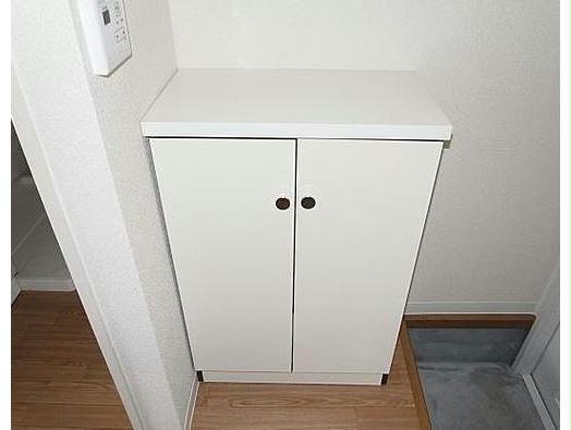 玄関　※別部屋写真