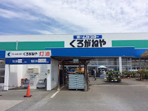ホームセンター　DCM 双葉店（ホームセンター）まで597m