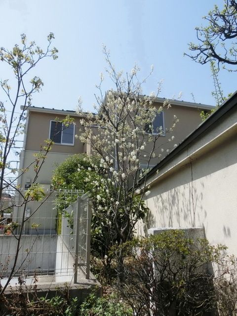 その他　★敷地内の植栽です★
