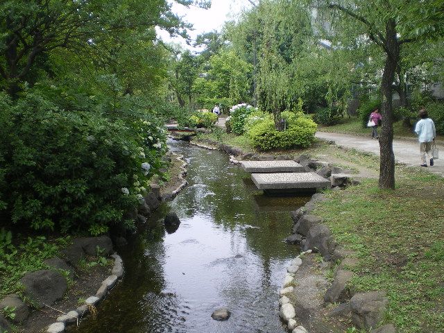 その他　区立大横川親水公園（その他）まで480m