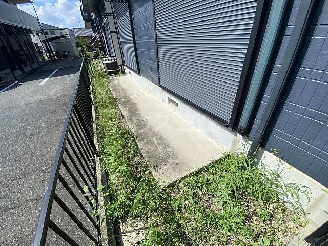 庭
