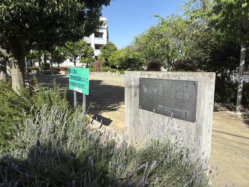 公園　梶ヶ谷さくら公園（公園）まで608m