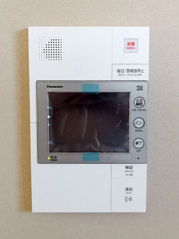 カウニスヒラノのその他写真