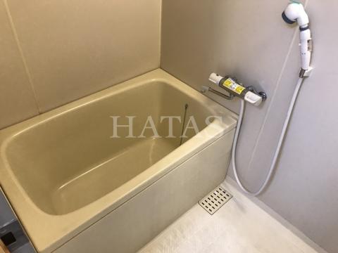 バス・シャワールーム　同物件別部屋です。
