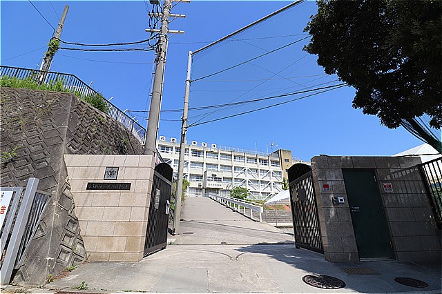 中学校　東大阪市立孔舎衙中学校（中学校）まで1201m