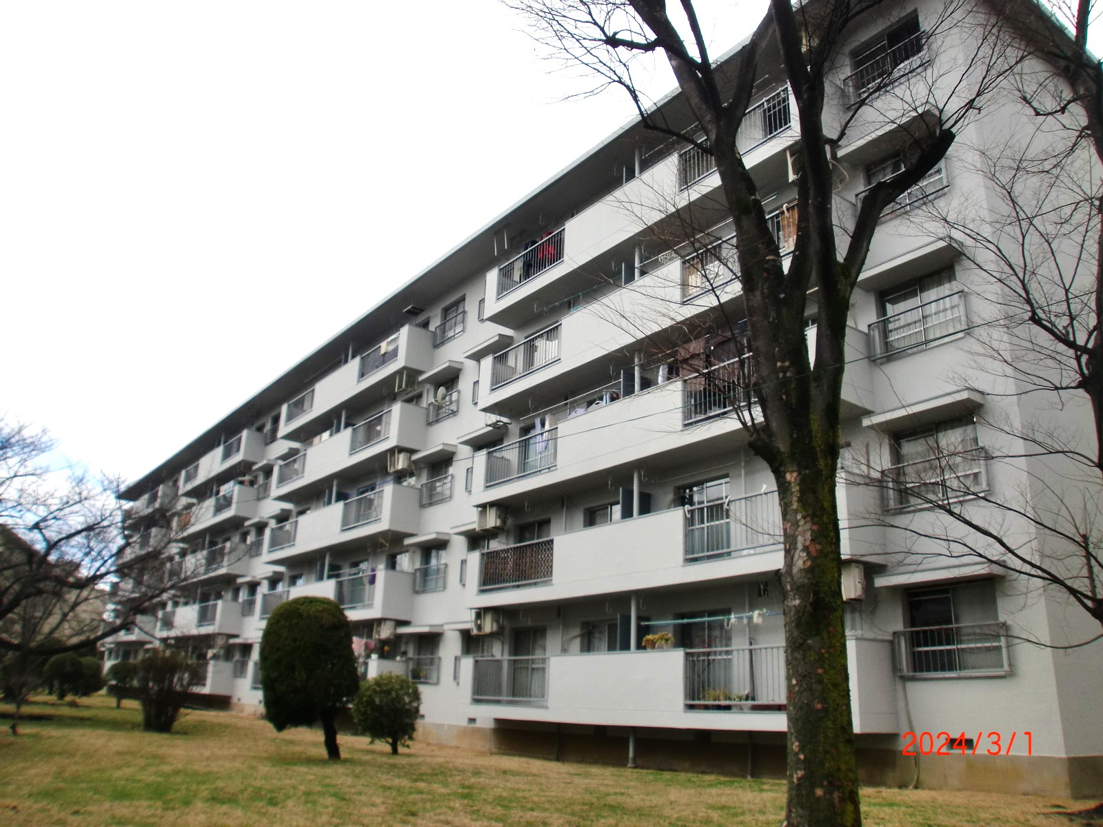 浅香山住宅6棟の建物外観