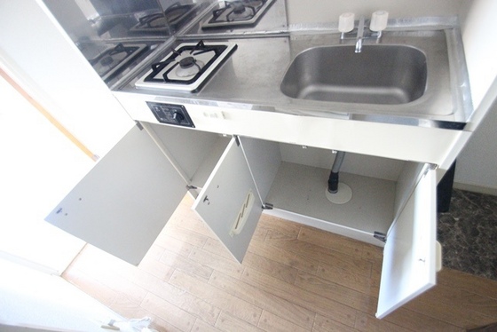 キッチン　※他号室の写真になります