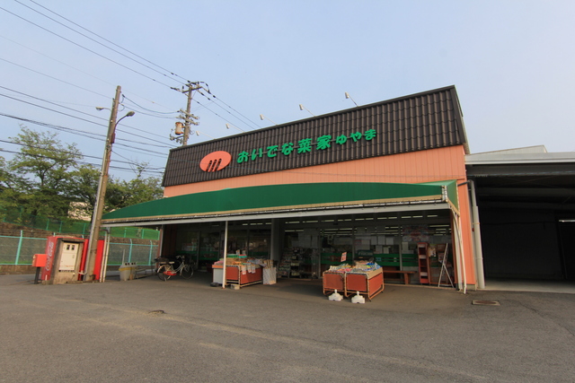 スーパー　おいでな菜家・ゆやま（スーパー）まで700m