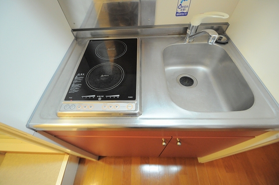 キッチン　※別号室の写真です