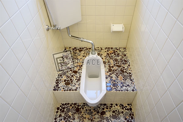 トイレ　ハイツ勝瑞