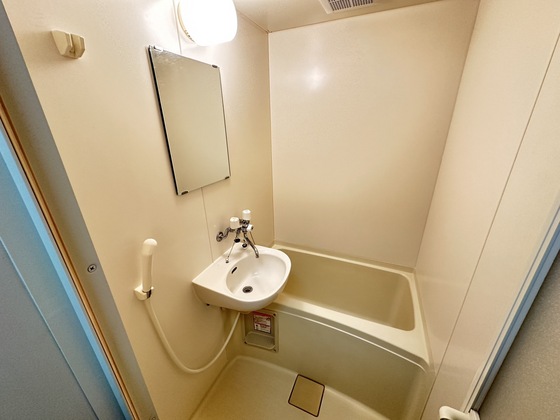 バス・シャワールーム　※別部屋の写真です