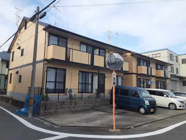 サンフラワー