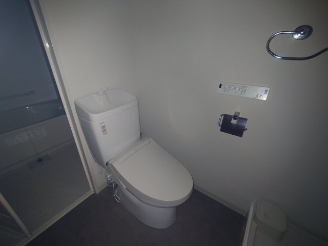トイレ　同物件別号室の写真です。