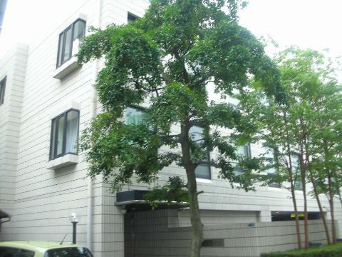 東急田園都市線 高津駅 徒歩1分 3階建 築41年の外観写真