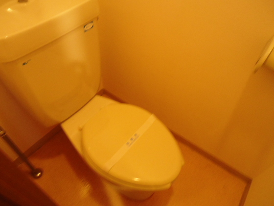 トイレ　※別号室の写真です