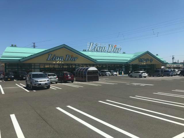 スーパー　リオン・ドール新津店（スーパー）まで600m