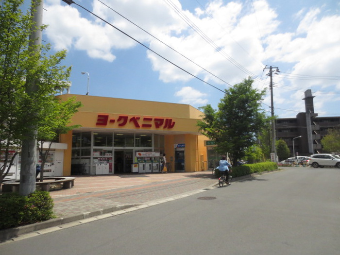 スーパー　ヨークベニマル真美沢店（スーパー）まで637m