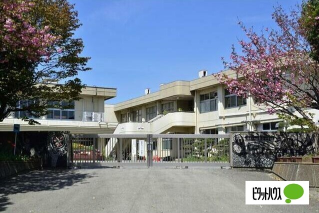 中学校　海老名市立今泉中学校（中学校）まで1257m