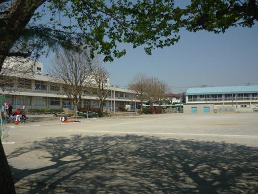 小学校　富士見市立関沢小学校（小学校）まで328m