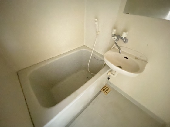 バス・シャワールーム　※別部屋の写真です
